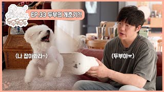 두두두두두 l EP.33 두부의 개춘기