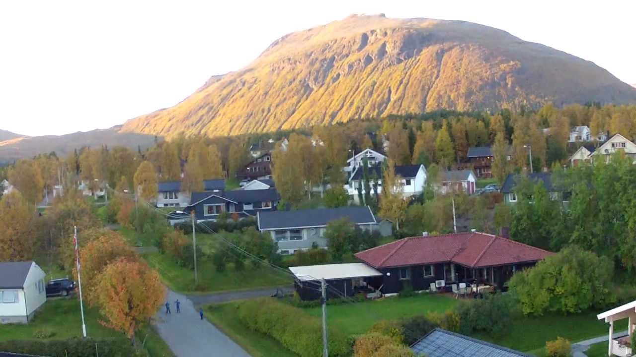 QUADFRAME medium weight SIX