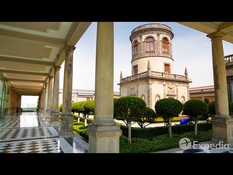 Vídeo: Una Guía De Transporte Probada Y Comprobada A La Ciudad De México