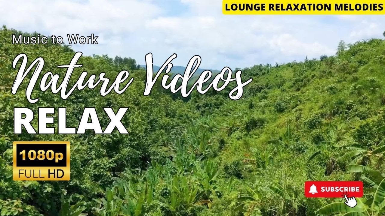 Relaxing Music with Amazing Nature Scenery For Stress Relief - YouTube
