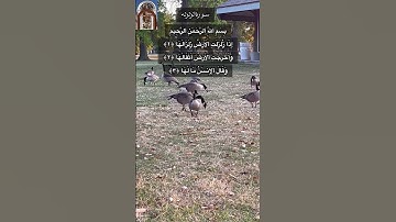 سورة الزلزله/ وديع اليمني / اعمل لآخرتك وانت في صحتك وعافيتك