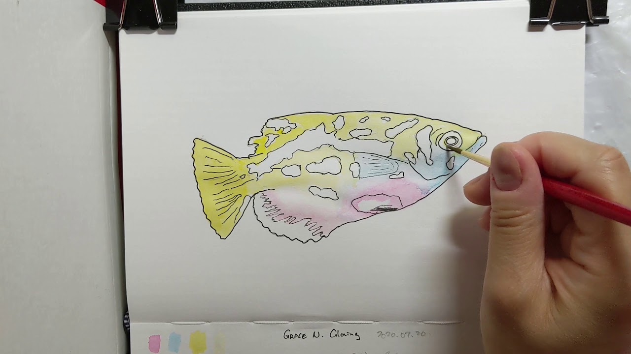 Coloring Clouded Archerfish