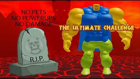 DEATH [HARD MODE] NO PETS, NO POWERUPS, NO DAMAGE | THE ULTIMATE CHALLENGE! | Mega Noob Simulator 👹
