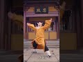 天外飞仙武侠#kungfu #unbelievably #wushufight #funny