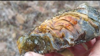 Big Agates In Situ! Rockhounding in the Ochoco National Forest, Oregon December 2023