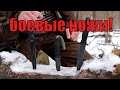 Интересные боевые ножи и мнение о их использовании.