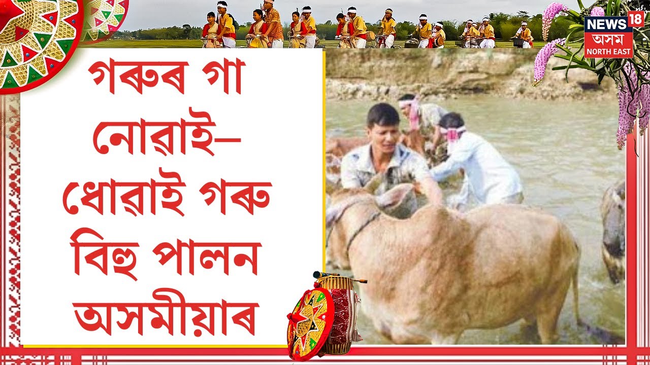 Goru Bihu              