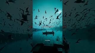 Into Your Arms - Witt Lowry Trending Tiktok Song Short Slowed & Reverb