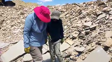 Fossil Hunting in the Warfield Quarry