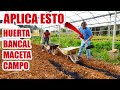 Mejora la tierra y la productividad de tus cosechas usando esta estrategia EL BIOCHAR