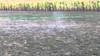 .375 H&H Magnum Vs Watermelon