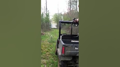 10 pounds of In the Red exploding targets