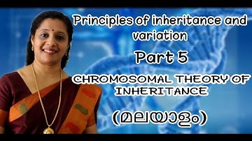 NEET: Principles of Inheritance and Variations Part5 Chromosomal Theory of Inheritance (Malayalam)