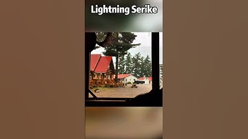 lightning strikes trees 🌲 #satisfying #lightning #fpyシ