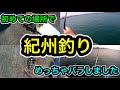 【紀州釣り】　初めての場所で紀州釣り　まだまだ未熟者につき…