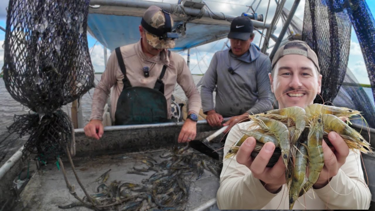 Making a Living on a Commercial SHRIMP Boat | Lafitte, Louisiana