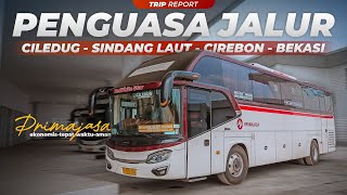 SANG PENGUASA YANG TERPERCAYA! 👌🏽😁 | Trip Report Bus Primajasa Ciledug - Cirebon - Bekasi