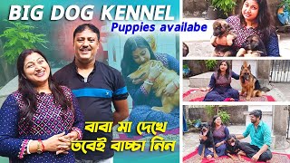 BIG DOG KENNEL HOWRAH ANDUL | BEST QUALITY WITH KCI | ALL INDIA DELIVERY AVAILABLE