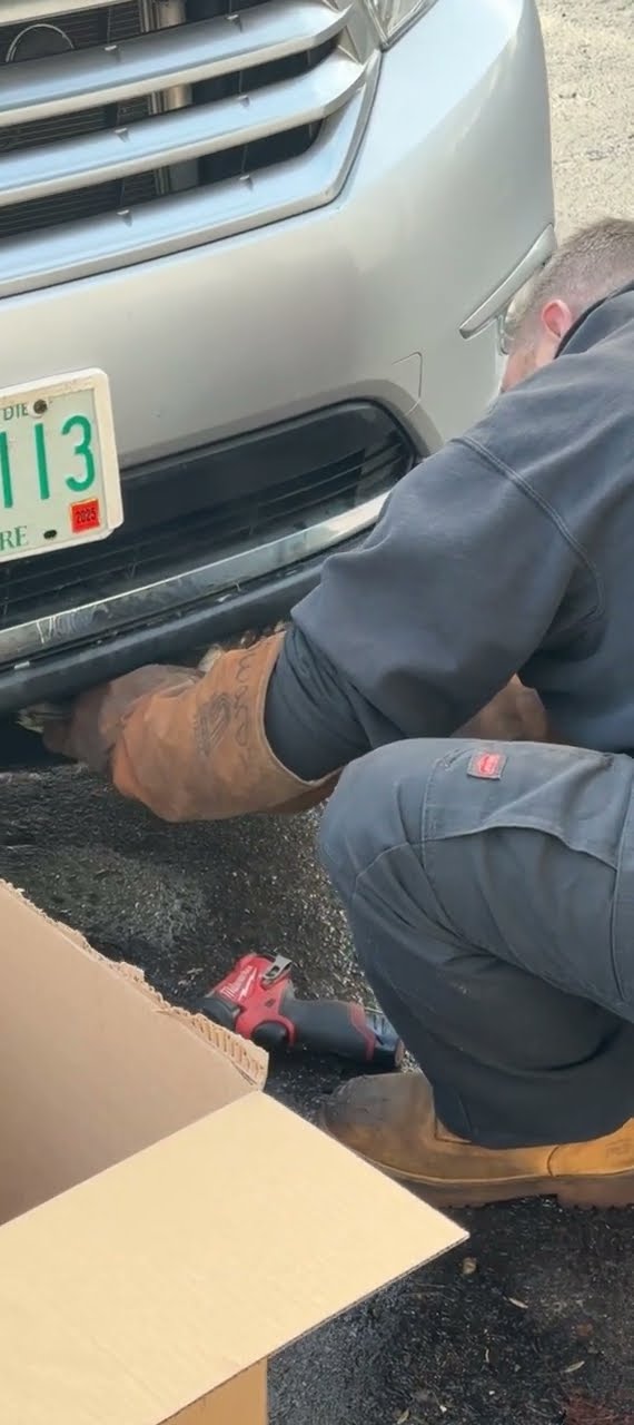 Man Gently Rescues Owl Stuck in SUV Grill || ViralHog