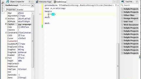1.Delphi Basic-RadioGroup Manipulation #1.flv