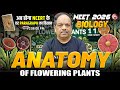 🔴LIVE NEET 2026 BIOLOGY NCERT LINE BY LINE | ANATOMY OF FLOWERING PLANTS | Dr. S.P. SINGH SIR #neet