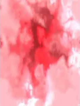MENTAHAN CCP TEKS 'NAPA TAKUT MATI TANAM' FUL API API SABER🔥🔥