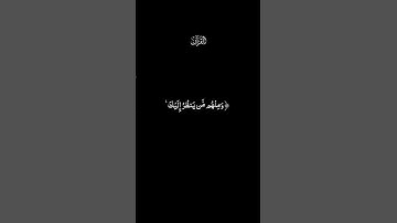 بصوت سهيله أيمن.. قرآن كريم. عبد الرحمٰن مسعد