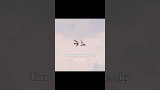 Two Birds by pranaboy out now 🕊️ #pranaboy #britpop #indie #twobirds