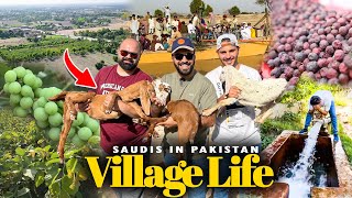 Enjoying Village Life in Pakistan 🇵🇰 Falsay aur Mango kay Baagh | Nasser ko mili Saza 🤣