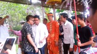 Persandingan fara acut