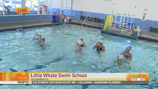 Little Whale Swim School