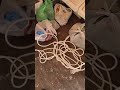 Крыша беседки которую я делал летом, испытание зимой прошла. Сегодня съездили скинули с неё снег.