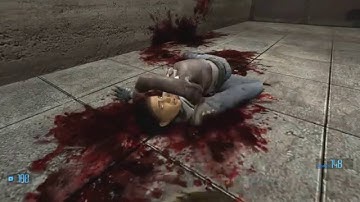 Half-Life 2: SMOD Madness