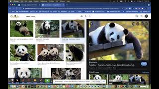 Lesson 10  How to get a URL for an image