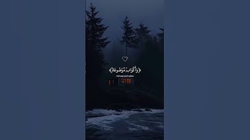 في جنّة عالية | القارئ عبد الرحمن مسعد #تلاوة_خاشعة #تلاوة_هادئة #ارح_قلبك #قرآن