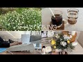 助産師・看護師3年目の日常記録 🌼🎬｜季節のお花と暮らす｜結婚式のお呼ばれ💒｜