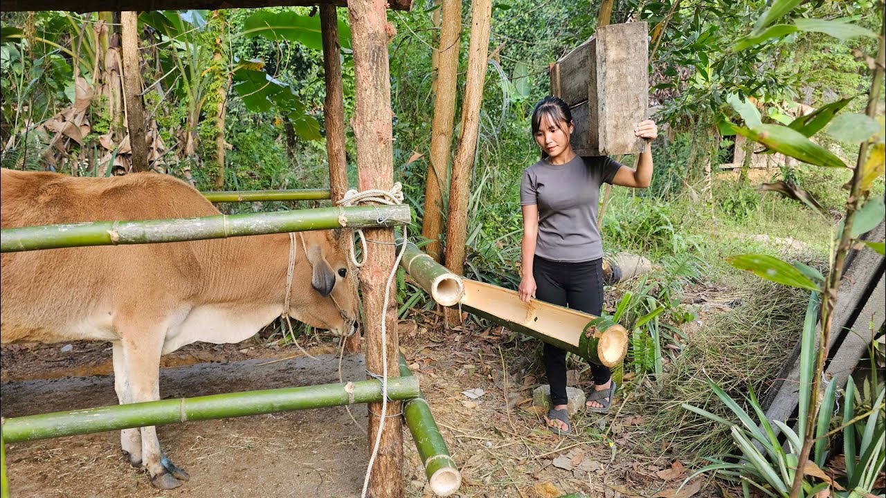 Designing Feeding Troughs for Cows - Building a Solo Off-Grid Livestock Farm