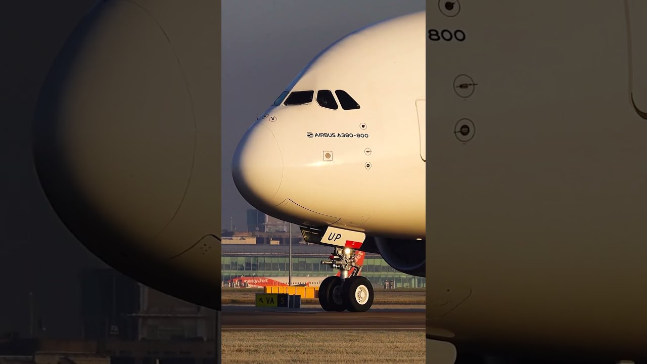  Amazing SOUND From The KING Of Skies