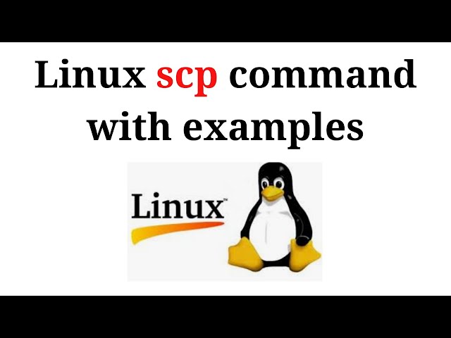 scp command in Linux with examples - Linux command line tutorial