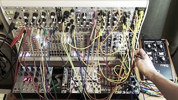 Doepfer Wasp filter A-124 VCF5/mannequins mangrove/mutable instruments-plaits,rings,clouds