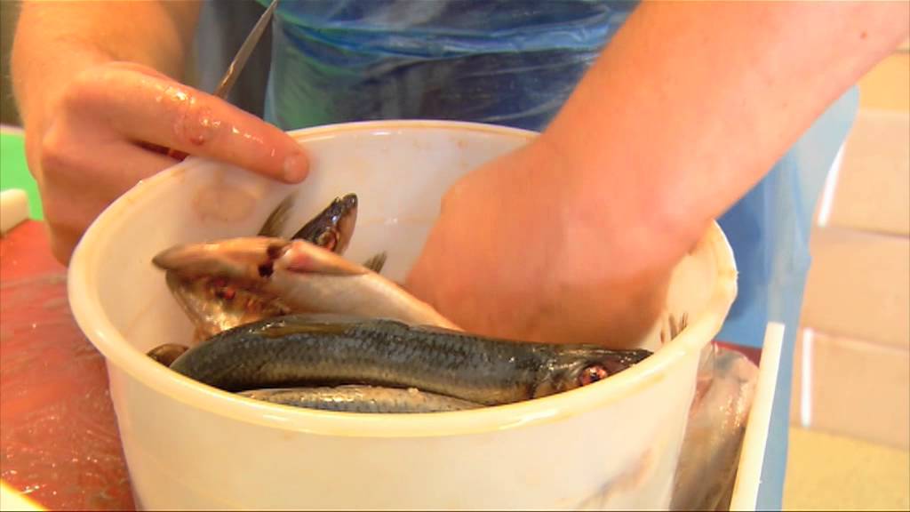 Drukte voor nieuwe haring in Dordrecht