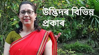 উদ্ভিদৰ বিভিন্ন প্ৰকাৰ  ||শ্রেণী:তৃতীয় মান|| বিষয়: পৰিবেশ screenshot 3