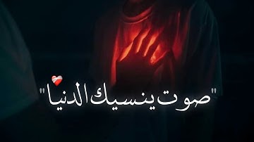 صوت ينسيك الدنيا ❤️‍🩹 "  أجمل حالات واتس اب قرآن كريم بصوت جميل جدا ❤️✨ Quran Status