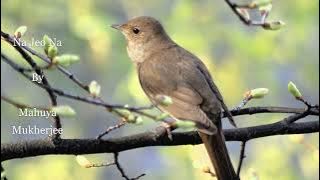 Na Jeo Na Rajani Ekhono Baki