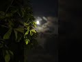 Think Before You Speak🤔🗣️#relationship#relatives#bonds#talk#think#thoughts#mistakes#understand#words