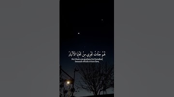 سورة المائدة|| محمد أيوب #اكسبلور #حالات_واتس #قران_كريم #explore #اكسبلور #المصحف #لايك #راحة