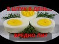 Что будет, если КАЖДЫЙ ДЕНЬ ЕСТЬ 5 КУРИНЫХ ЯИЦ?