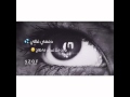 شطر بطر 48