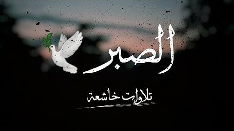 قرآن كريم بصوت القارئ: أحمد حمادي || أجمل حالات واتس اب دينيه 🕊 || تلاوة خاشعة ☁️🌿