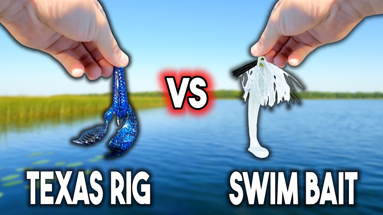 TEXAS RIG vs SWIM BAIT Challenge (PB CAUGHT!!)